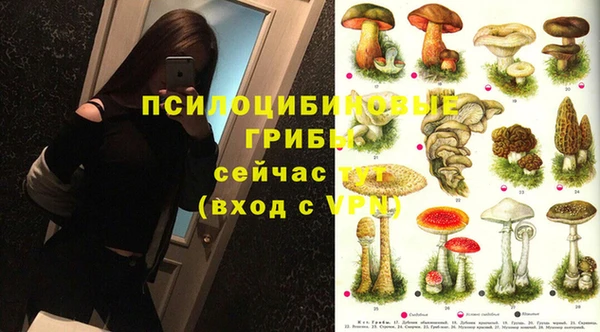 мяу мяу кристалл Алексин