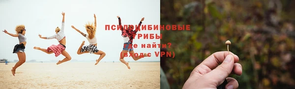 ешки Алзамай
